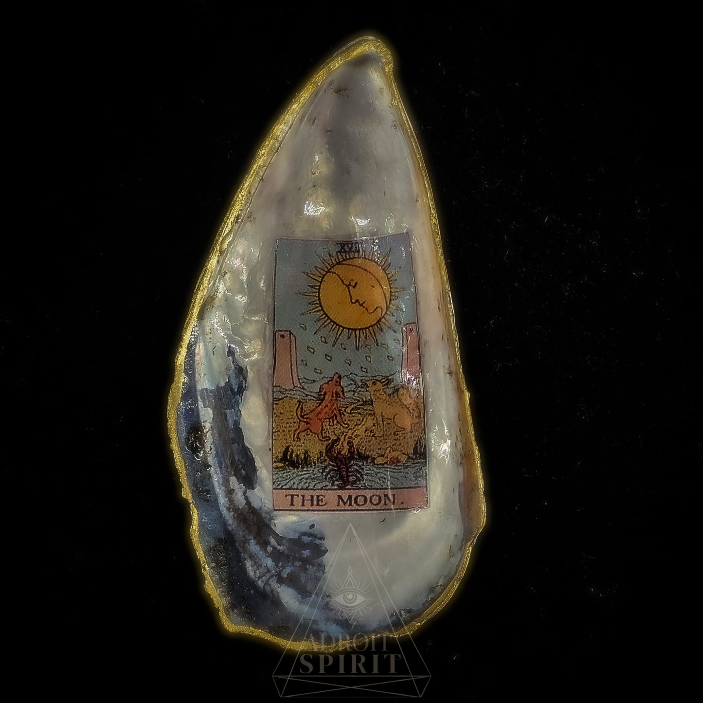 Small Shell Dish