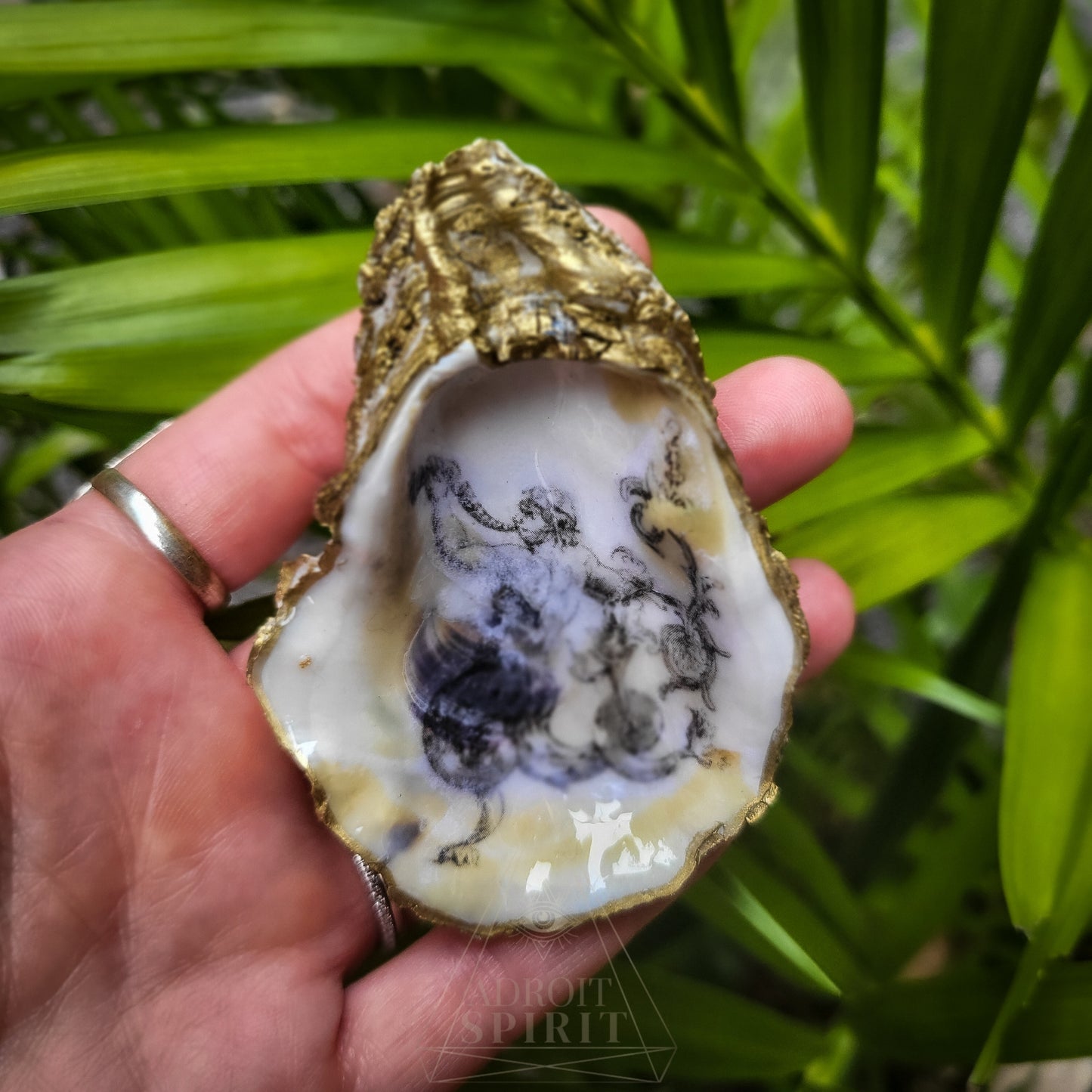 Large Shell Dish