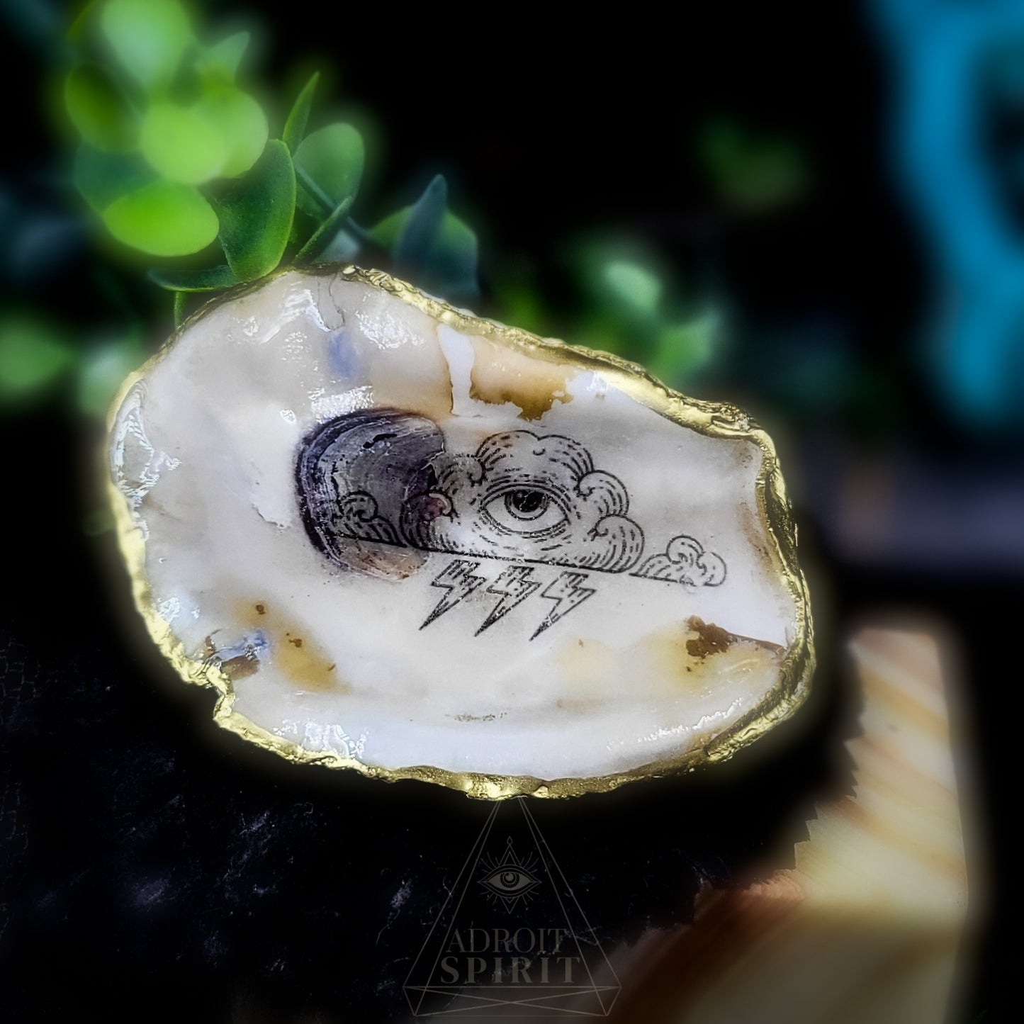 Large Shell Dish