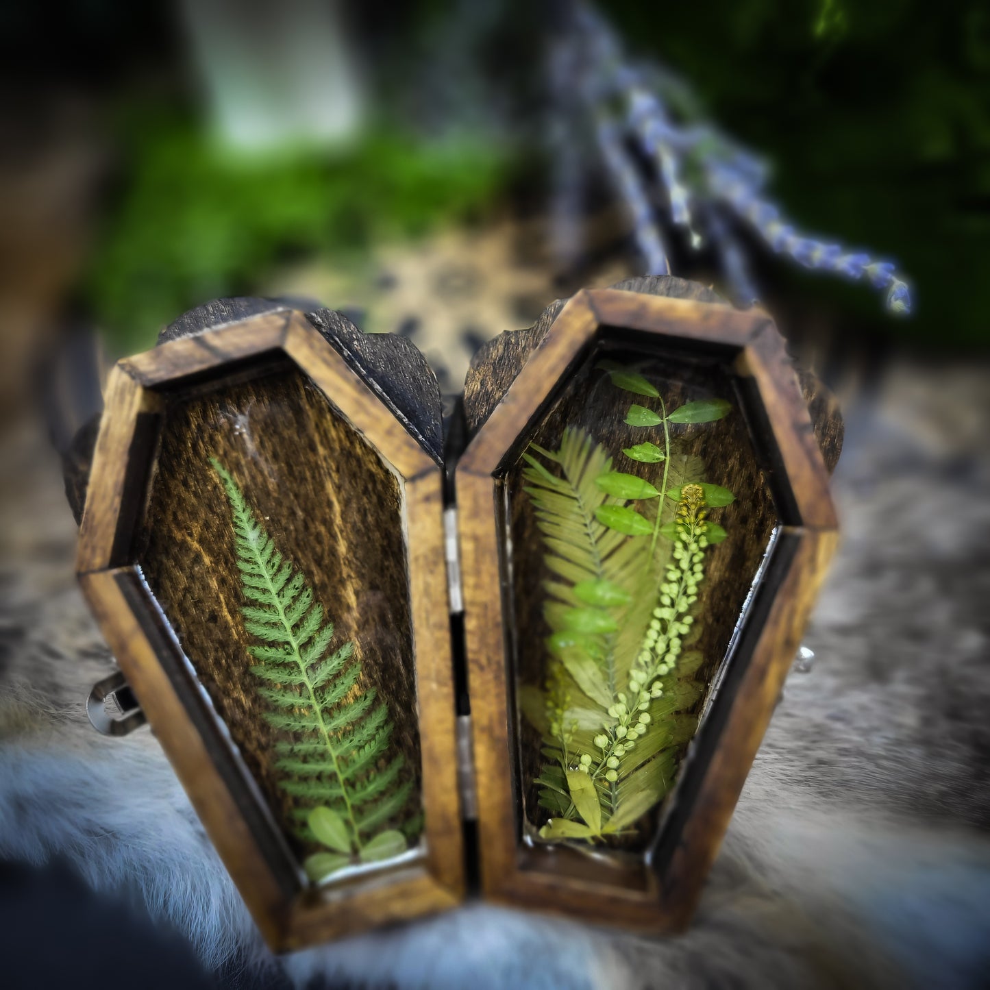 Fruit Bat - Coffin Box