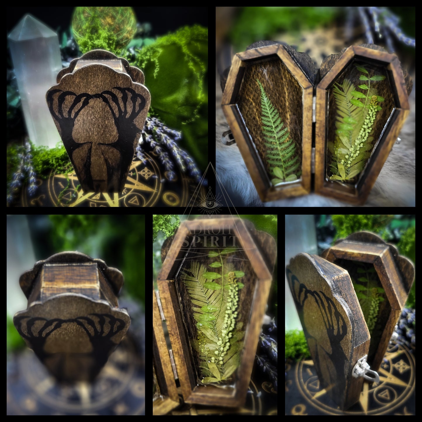 Fruit Bat - Coffin Box