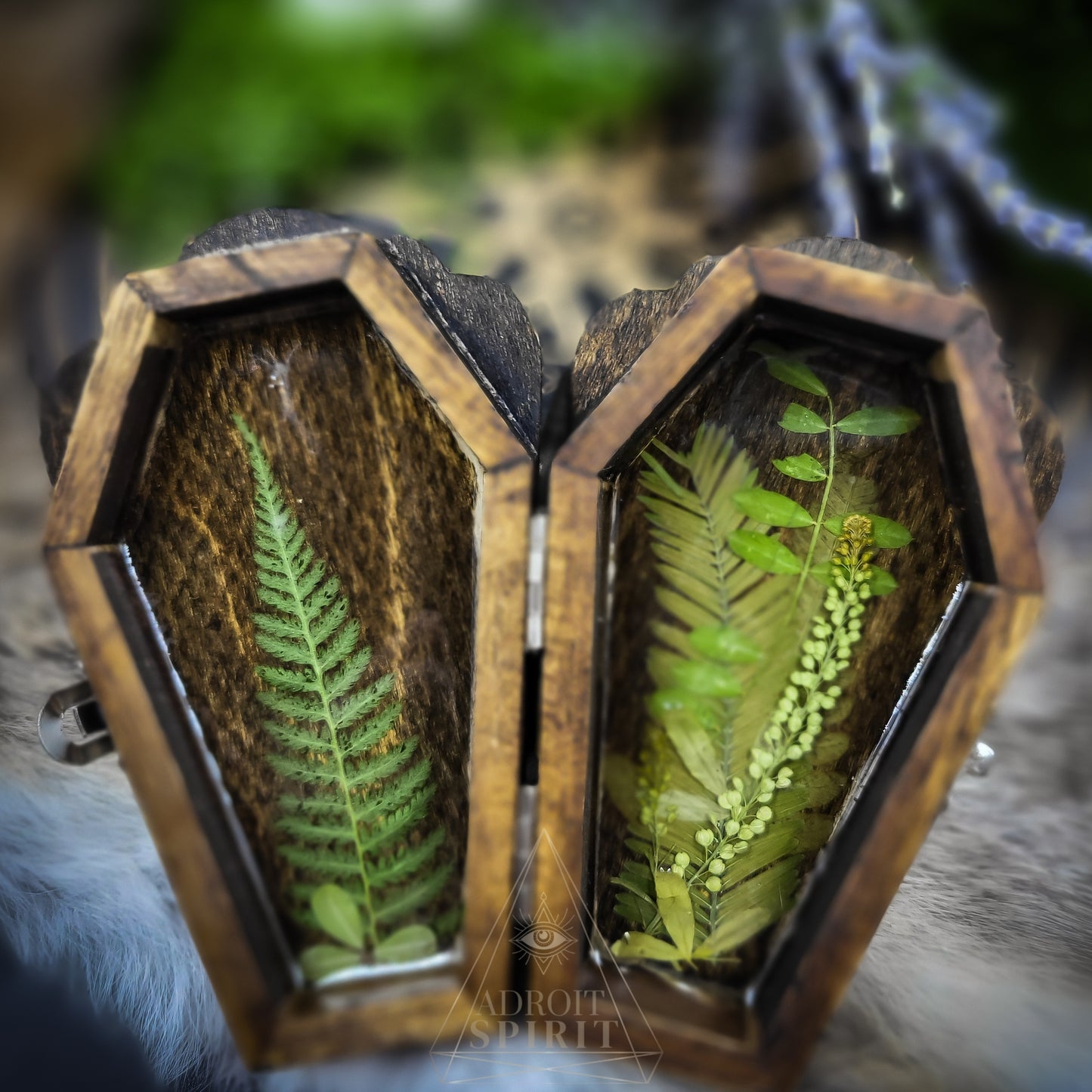 Fruit Bat - Coffin Box
