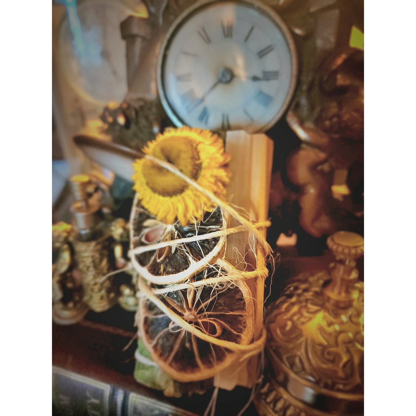 Sage Bundle