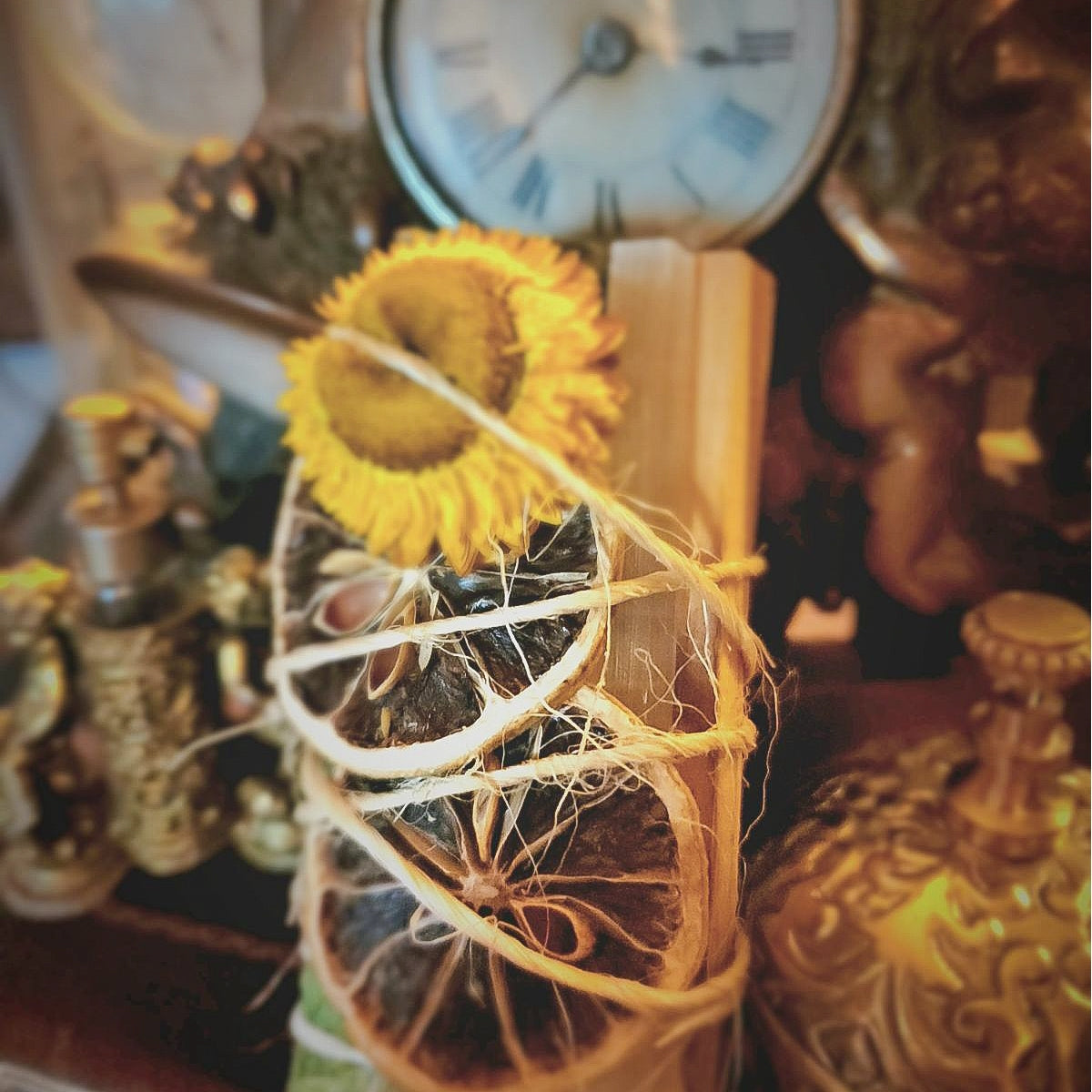 Sage Bundle