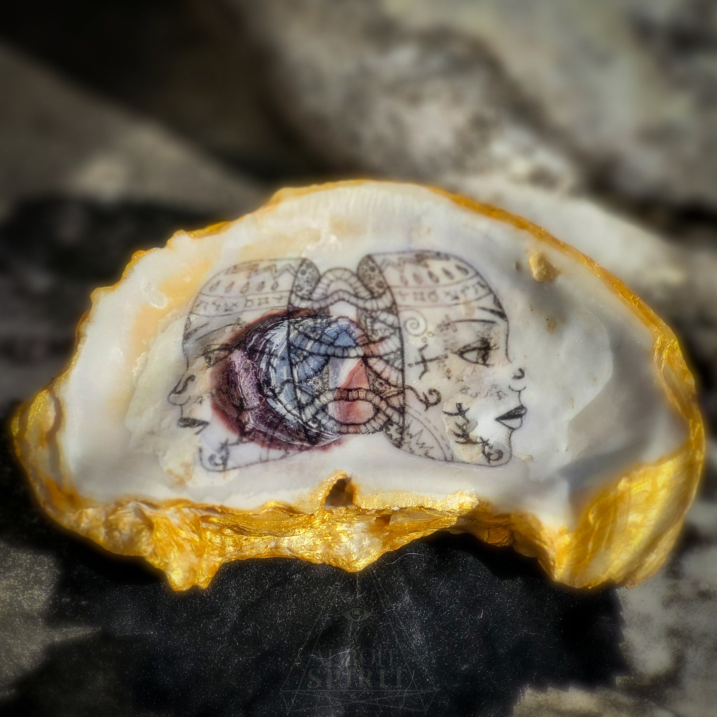 Shell Dishes - X LARGE