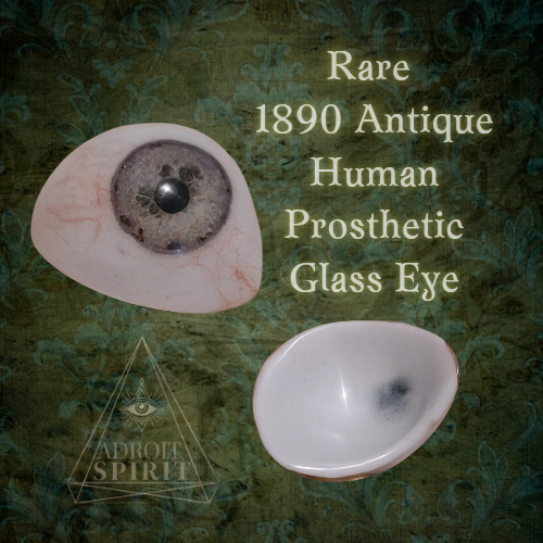 Rare Excavated 1890 Antique Human Glass Eye/Prosthetic German made
