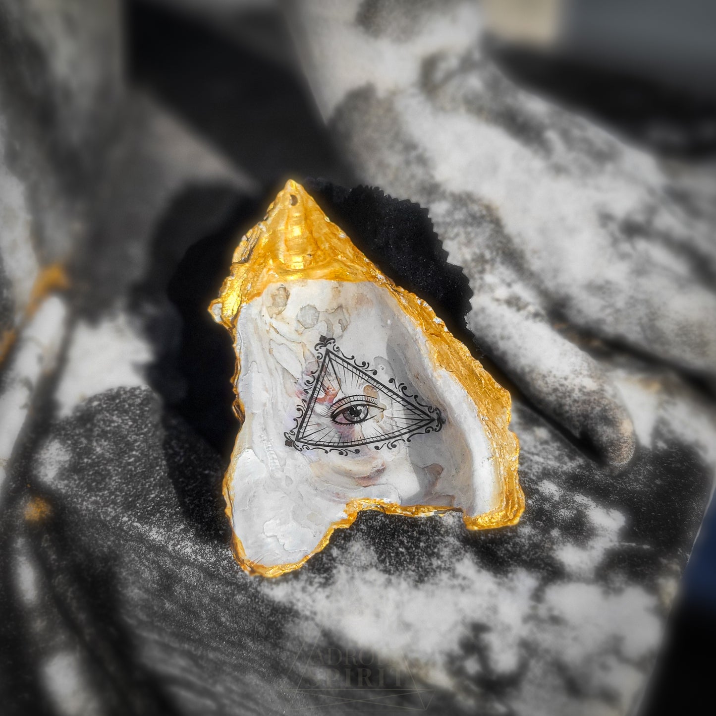 Shell Dishes - X LARGE