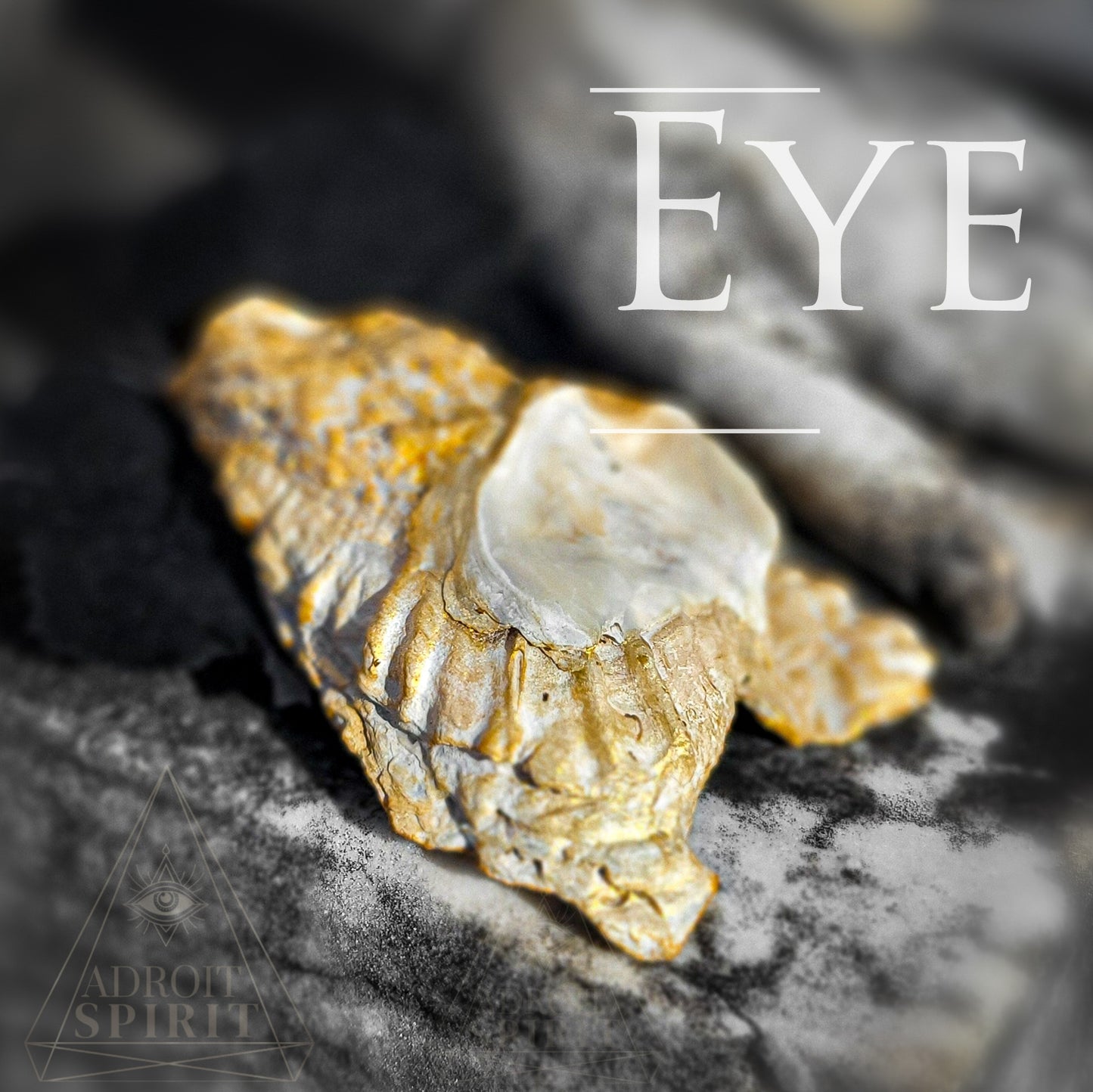 Shell Dishes - X LARGE