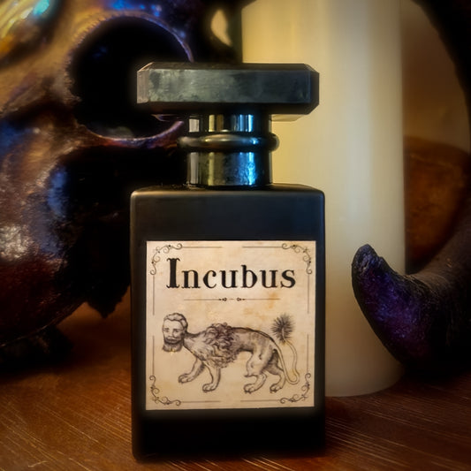 Incubus Cologne