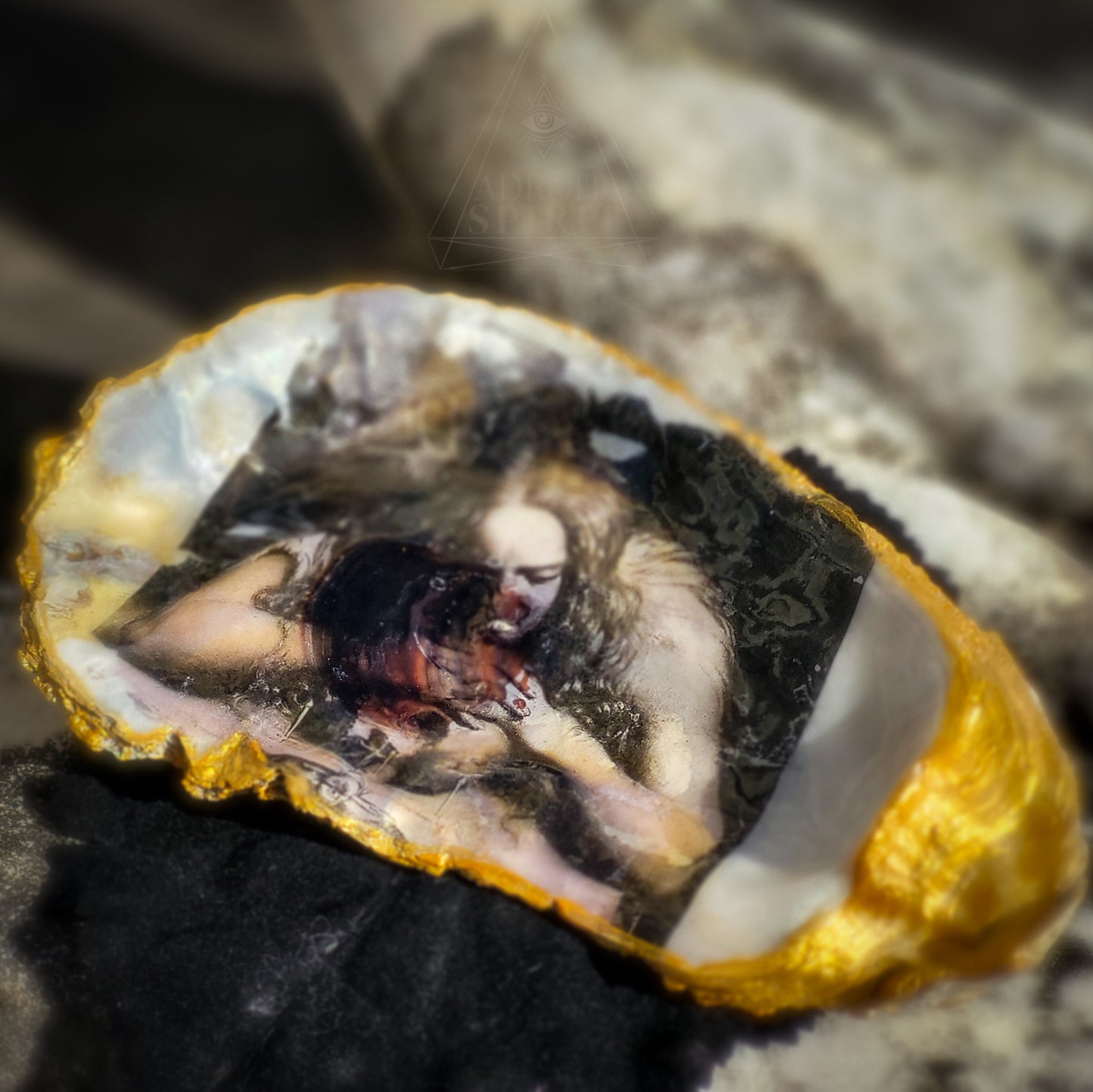 Shell Dishes - X LARGE